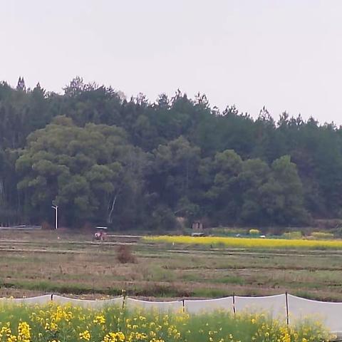 想村民之所想，解村民之所急。