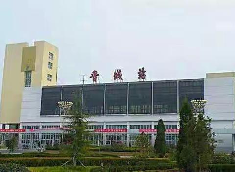 认真学习十九大会议精神 努力抓好支部党建工作