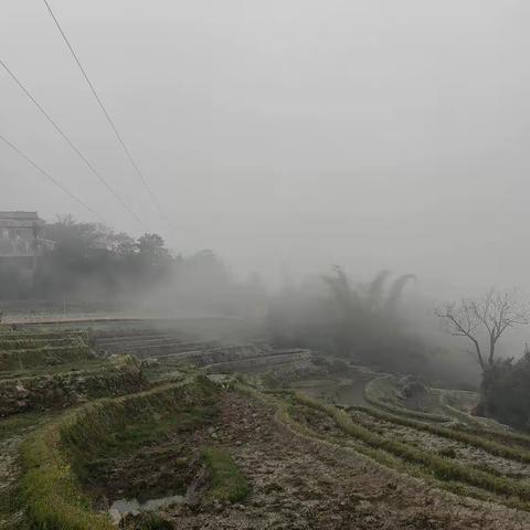 走进红河谷——哈尼梯田采风记第三天（上午）
