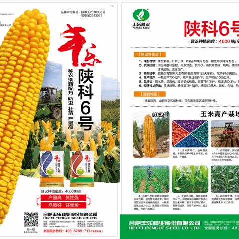 2021年优秀品种推荐