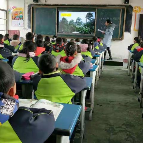 把花朵留在枝头，让美丽留在心中