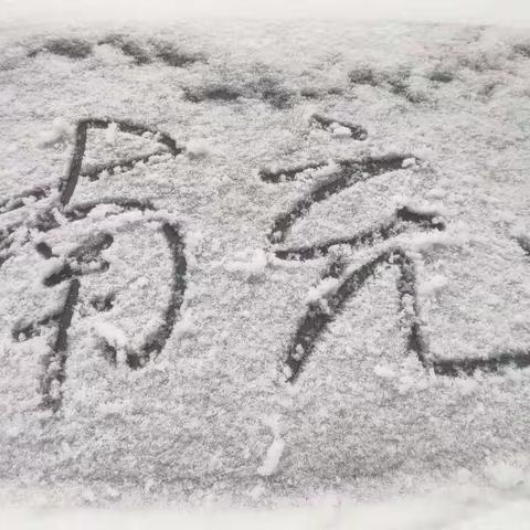 世界冰天雪地，我们的内心鸟语花香