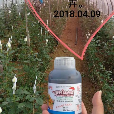 作物长不好，90%是缺碳造成的，不信你看