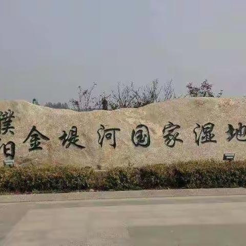 绿城实验学校三（7）学室起点读书社团暑假研学旅行特别活动——走进濮阳金堤河国家湿地公园