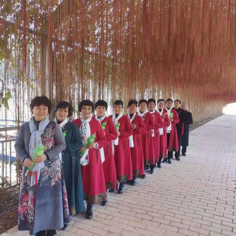 县老年大学葫芦丝班野外授课采凤记