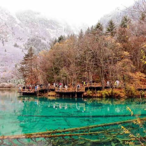 冰雪探秘旅行家—冬日流连九寨沟