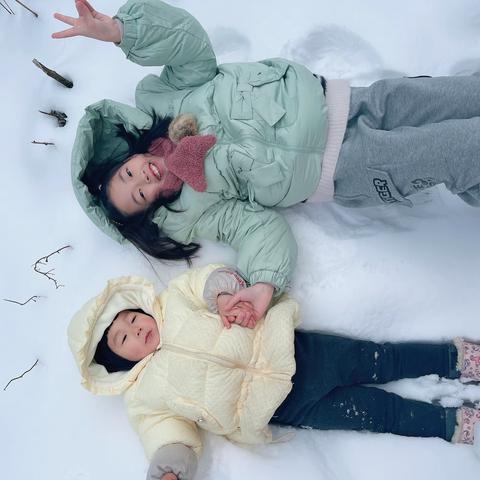 喜欢雪，我没有理由，只是爱它的轻盈，却不张扬；痴迷于它的典雅。纯纯的颜色，洁白如晶，如天使，似鹅毛🪶