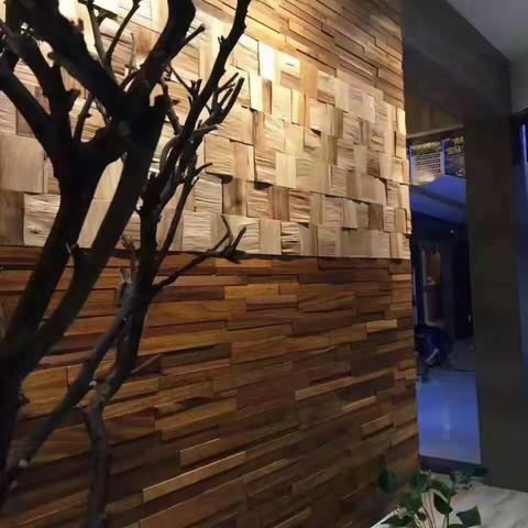 ARSOAMN 墙板实景效果图