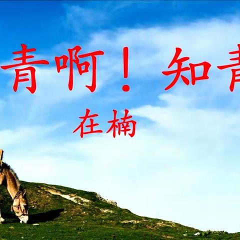 知青啊！知青！