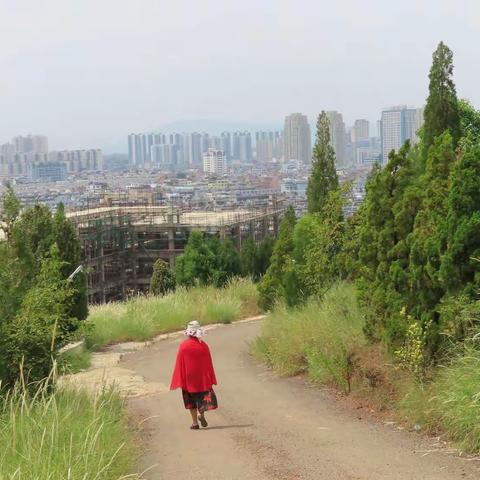 北风那个吹，年味那个浓