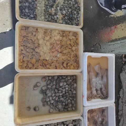食美景美劳动最光荣！