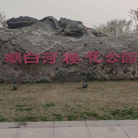 大厂县潮白河樱花公园