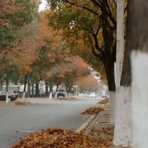 这条街                                              2021年11月7日・立冬