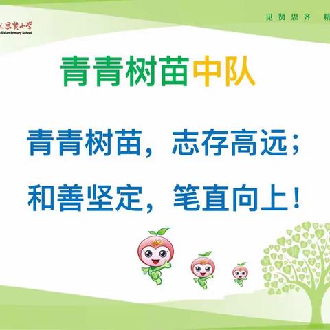 青青树苗，笔直向上！
