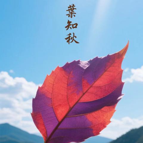 一季一风景，一叶一场秋
