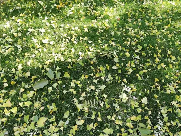 （已刊）淅淅沥沥的雨 绵绵不断的情（原创）