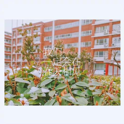 百川汇海可撼天——临沂玉龙湾小学三（1）中队