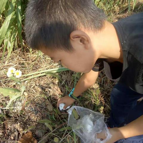 五水共治我参与 建设美丽大花园