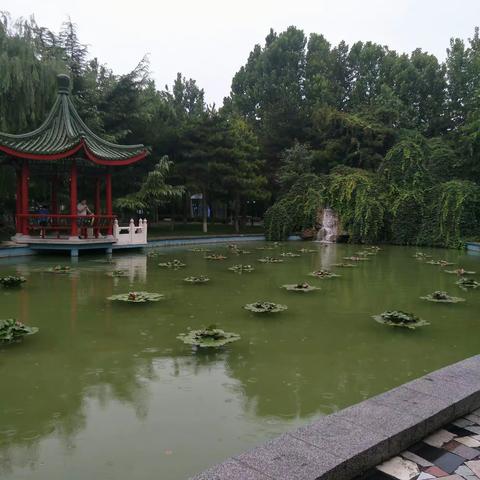 春风化雨润心田--2019阅读育人高峰论坛