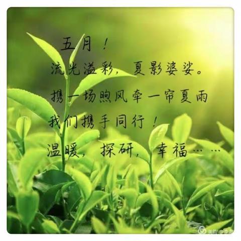 “教”无止境，“研”有新篇——二实小政北路校区教师赴硕丰学校学习交流活动纪实