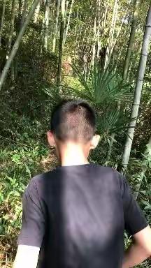 缤纷暑假，快乐生活                       一一军地小学，117班，彭智翔