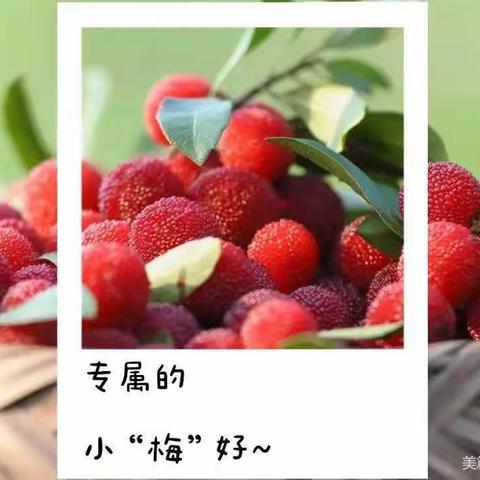 “梅”好“食”光，酸爽一“夏”——南涧县幼儿园大班组采摘杨梅分享活动