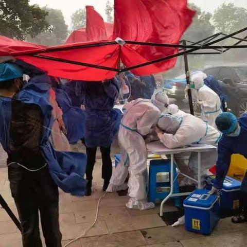 “真善美大实践”之幸福列车中队劳动周活动