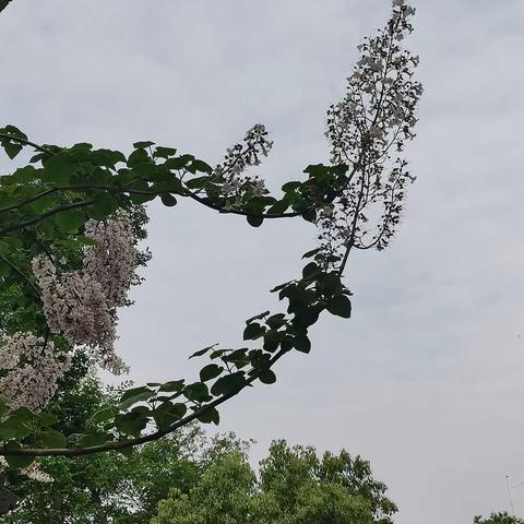 春花好，人心未老，岁月静好，入镜乐淘淘