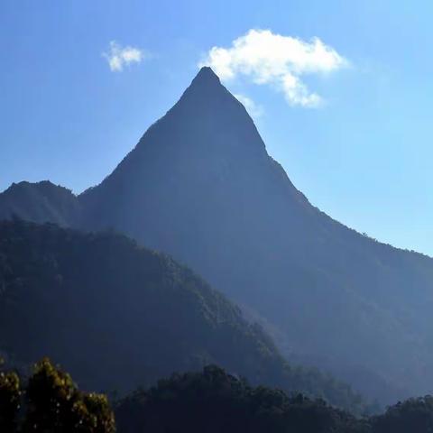 走进尖峰岭国家森林公园