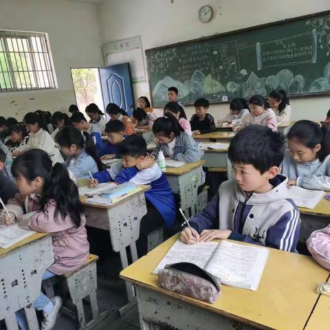 莲台小学期中复习周