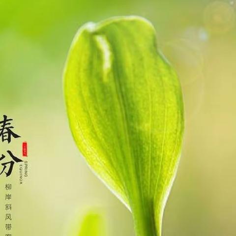 春分，让我们一起聆听春天的声音