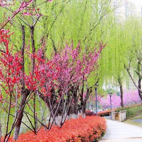 让消费者更有信心一汉川纪念3.15活动纪实