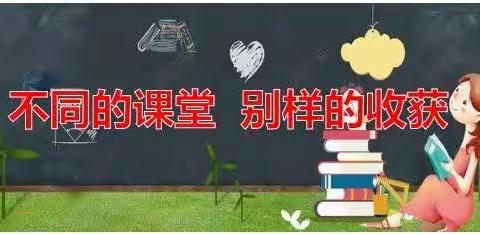 不同的课堂，别样的收获——记沙集小学科学线上护学活动