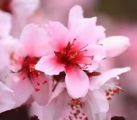 银湾物业张山子分公司