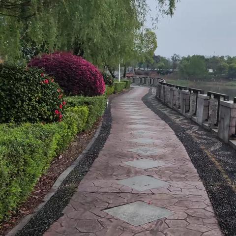 梨影