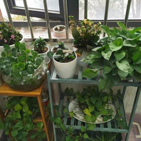 文明办公，有你有我