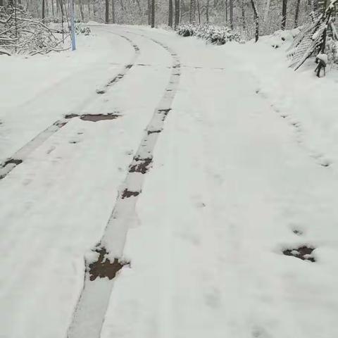 瑞雪兆丰年，疫情快快散