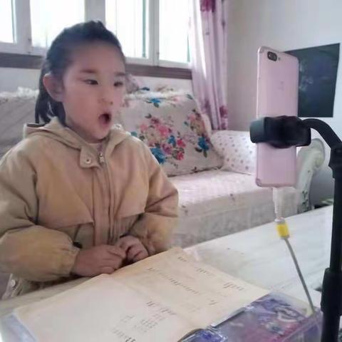 【豫灵教育】豫灵镇董社小学：聚力前行蕴芬芳  优秀学生展风采