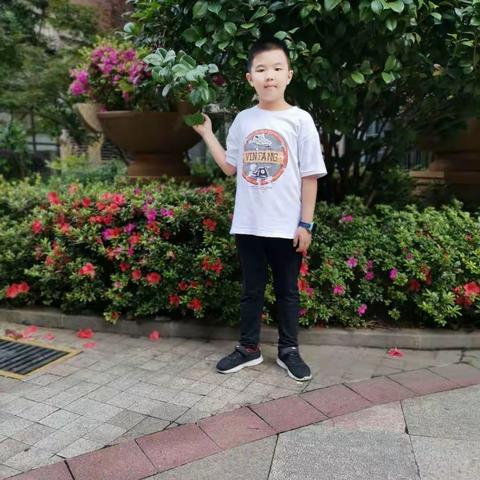 凤凰城校区5月丽音勤学好少年