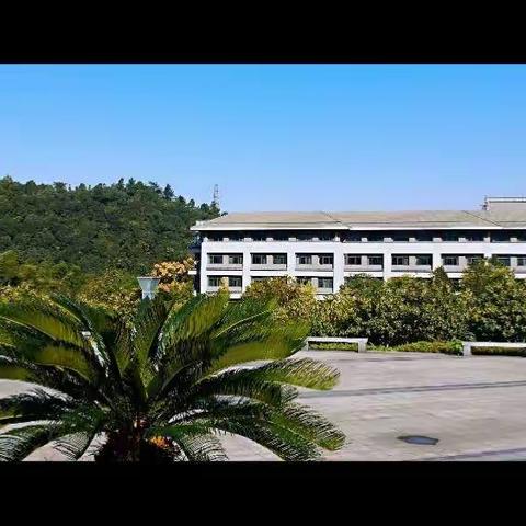 机构金融业务部工会活动之摄影作品PK赛