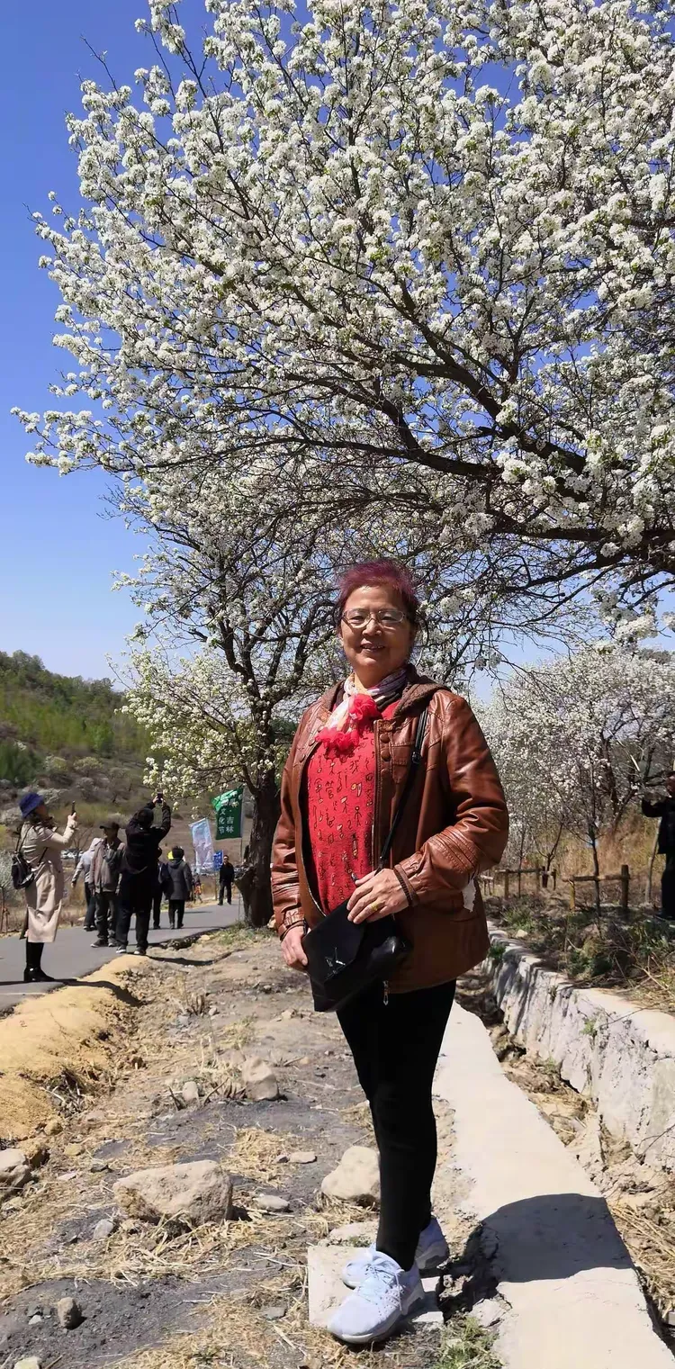 江密峰安山贡梨文化节第三天2019.5