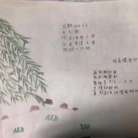 牛刀小试，小一7班部分自然笔记作业展示