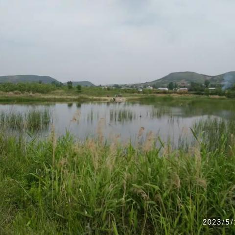 西峡游（副本）