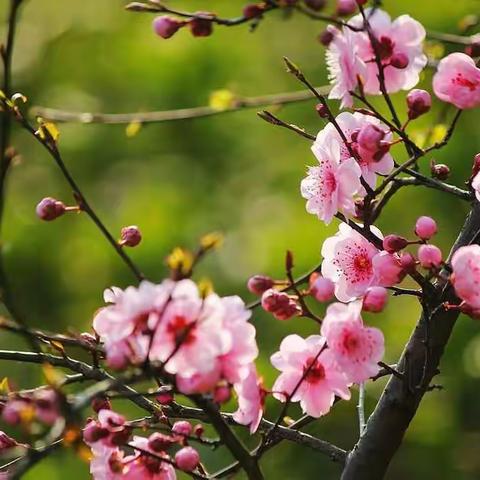 新时代休闲服饰欢迎你