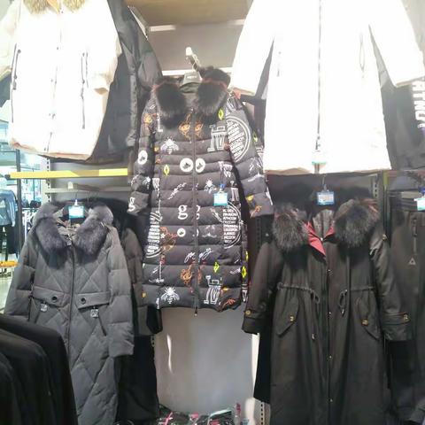 11月5号莱芜信誉楼考察