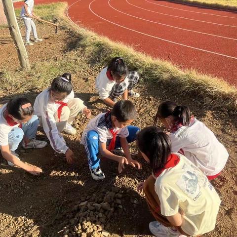 夏邱镇中心小学四（1）中队“播种希望，收获快乐”菠菜种植体验活动