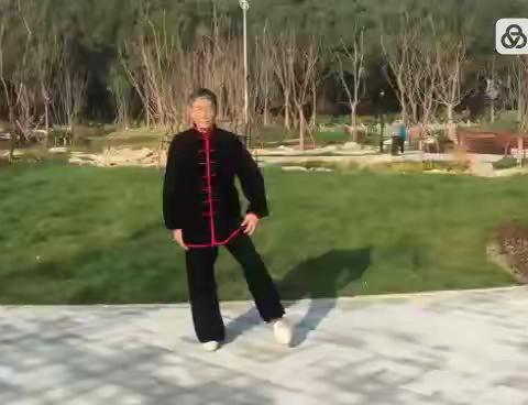 练太极拳贵在坚持（晨练）传统杨氏85式太极拳