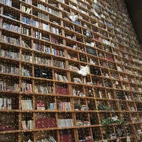 临沂第四实验小学二年级一班焦俊澎 ：书籍是人类进步的阶梯