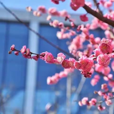 春季传染病防控提醒——宝塔区川口小学