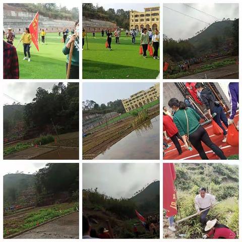 雪飘梅香的美篇